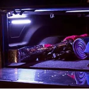 Truck Bed Lighting
